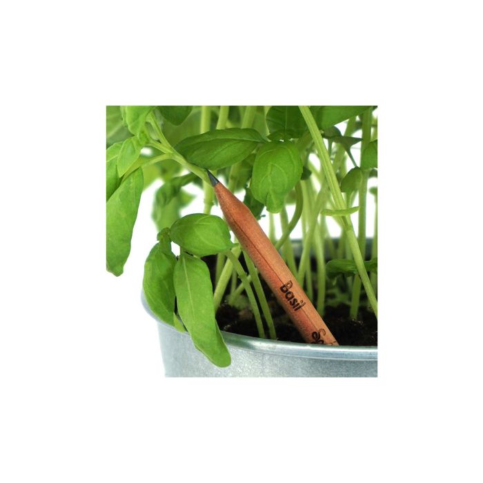 Ołówki z nasionami Sprout – Gift Design