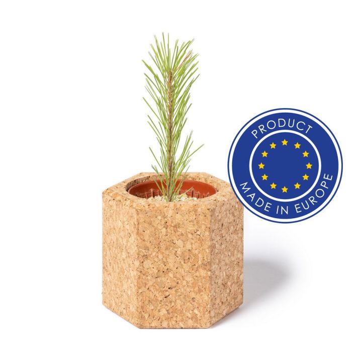 Korkowa doniczka, nasiona sosny – Gift Design
