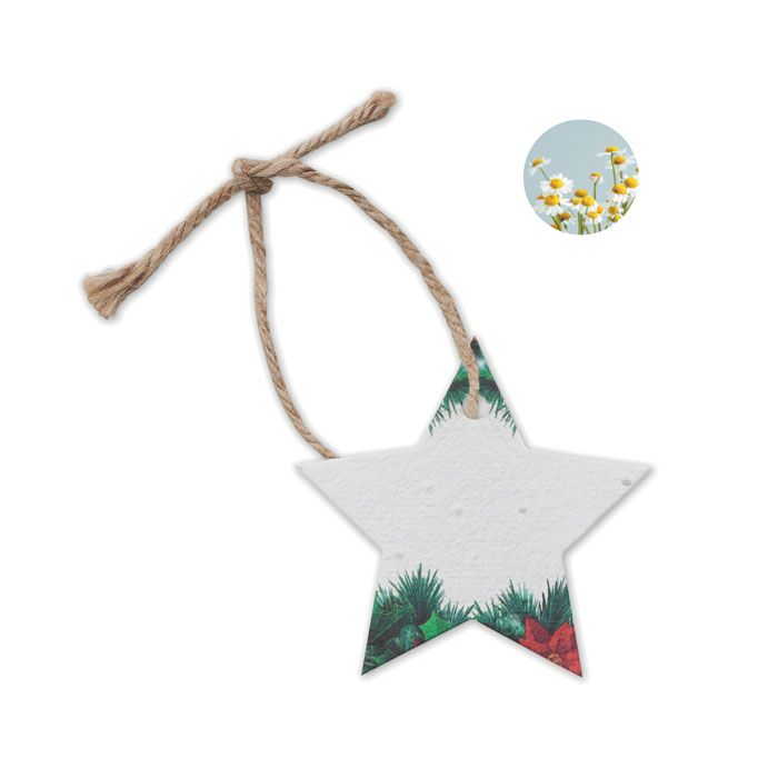 Ozdoba świąteczna z nasionami – Gift Design