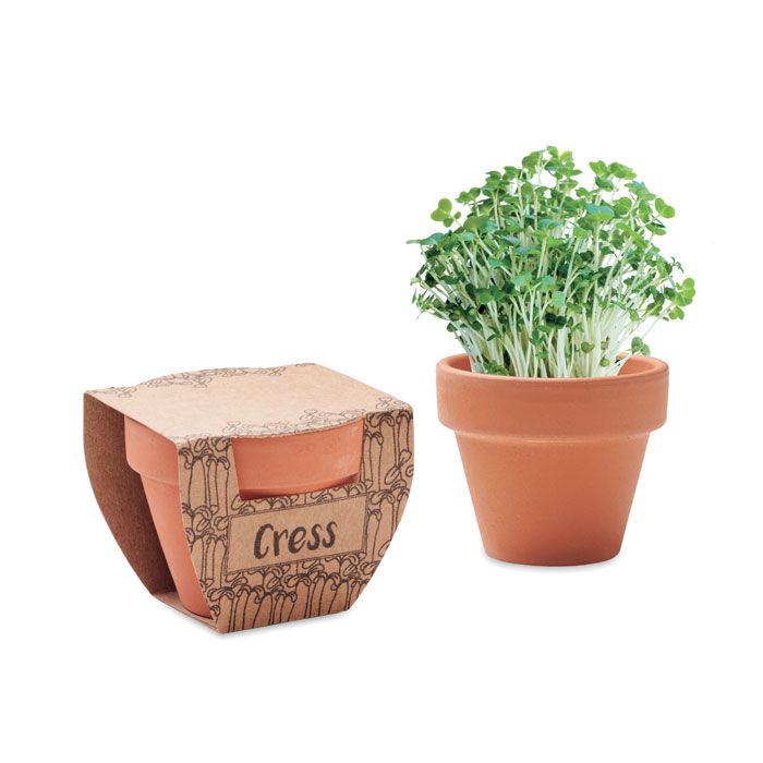 Nasiona rzeżuchy w doniczce – Gift Design