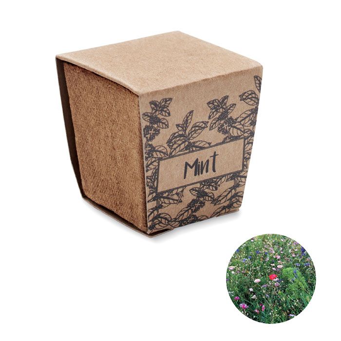Zestaw do uprawy mięty – Gift Design