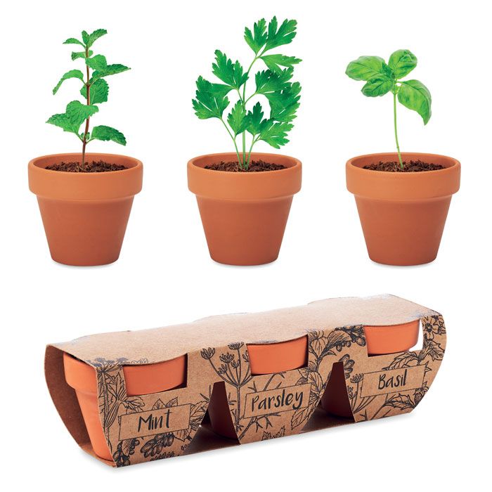 Zestaw 3 doniczek z terakoty – Gift Design