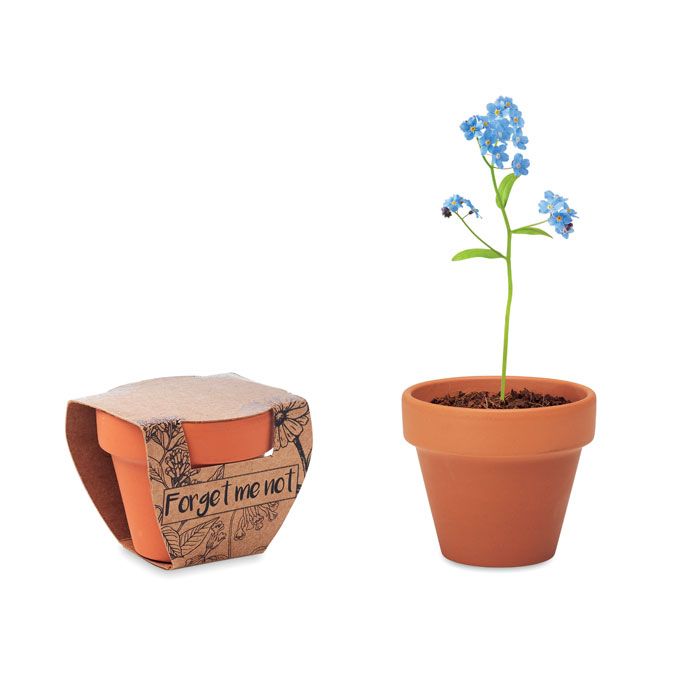 Doniczka, niezapominajka – Gift Design