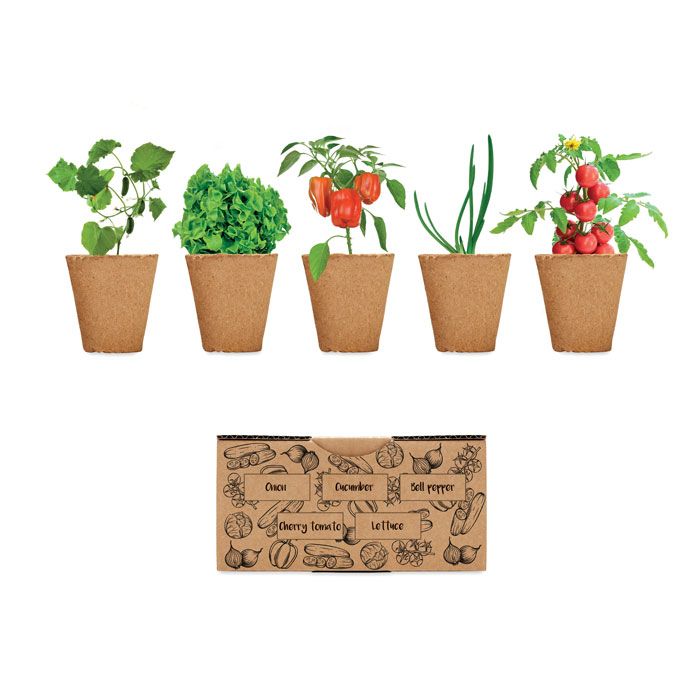 Zestaw do uprawy sałaty – Gift Design