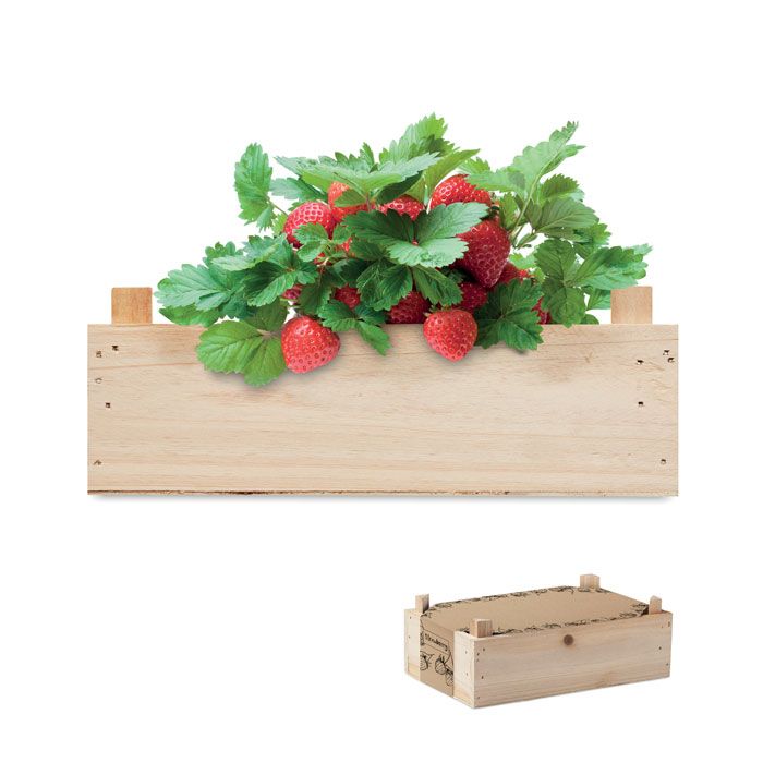 Zestaw do uprawy truskawek – Gift Design