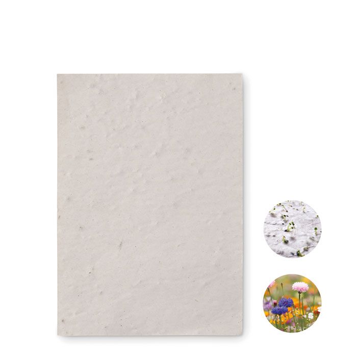 Arkusz A6 z nasionami kwiatów – Gift Design