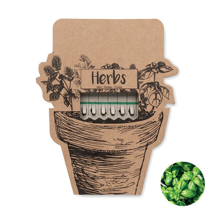 Patyczki z nasionami ziół – Gift Design