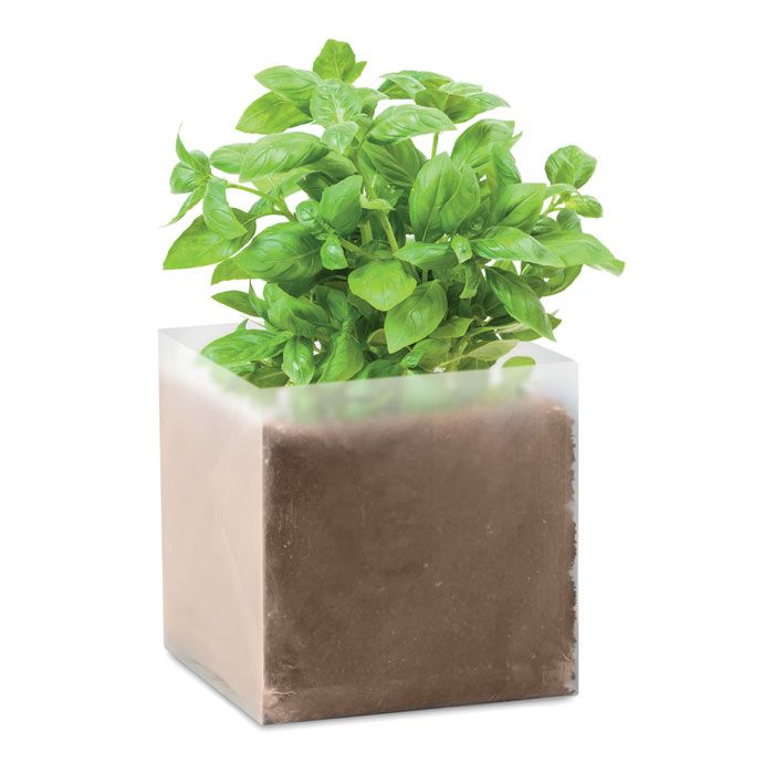 Zestaw do uprawy "Bazylia" – Gift Design