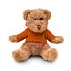 Teddy bear plus with hoodie