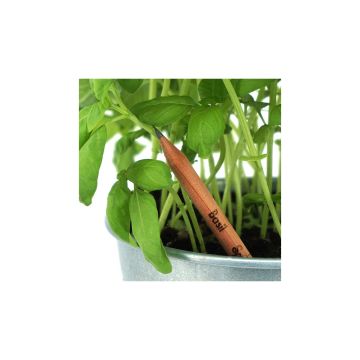 Ołówki z nasionami Sprout – Gift Design