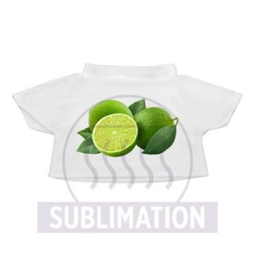 Koszulka dla zabawki pluszowej – Gift Design
