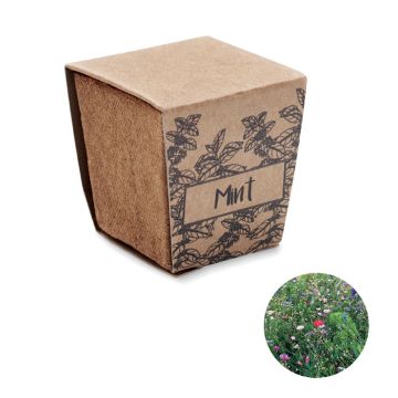Zestaw do uprawy mięty – Gift Design