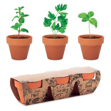 Zestaw 3 doniczek z terakoty – Gift Design
