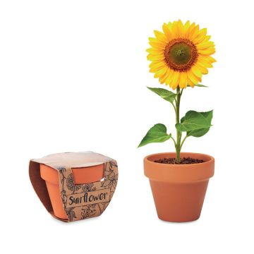 Doniczka, słonecznik – Gift Design