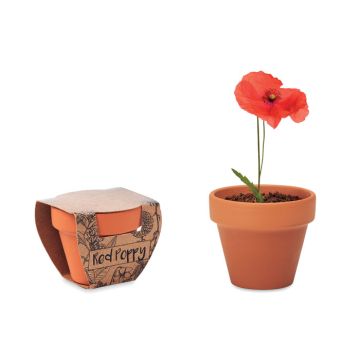 Doniczka, mak – Gift Design