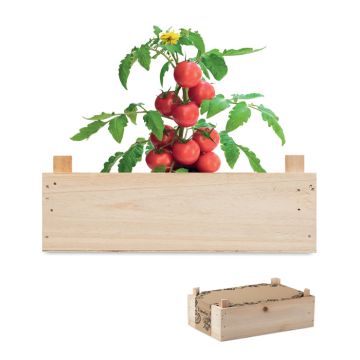 Zestaw do uprawy pomidorów – Gift Design