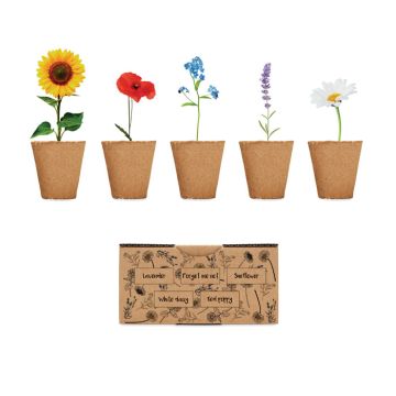 Zestaw do uprawy kwiatów – Gift Design