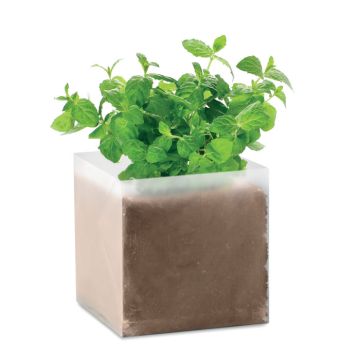 Zestaw do uprawy "Mięta " – Gift Design