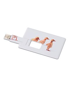 Creditcard. USB flash 16GB     MO1059-06