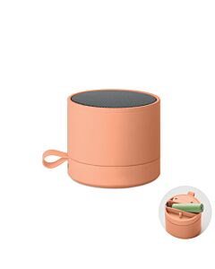 5.1 Głośnik bezprzewodowy