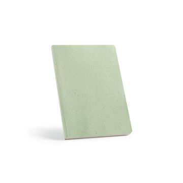 Dostoevsky Notebook