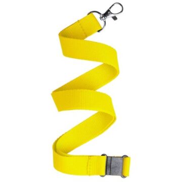Lanyard