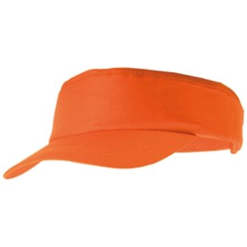 Sun visor
