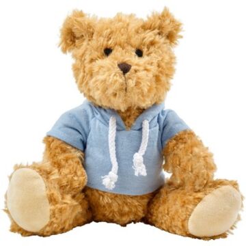 Teddy bear with hoodie