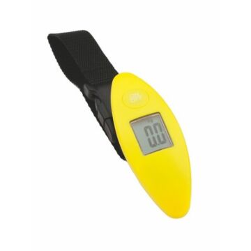 Luggage scale