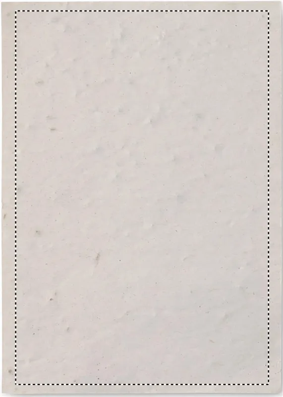 SIDE 1