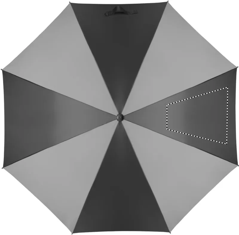 SEGMENT 3